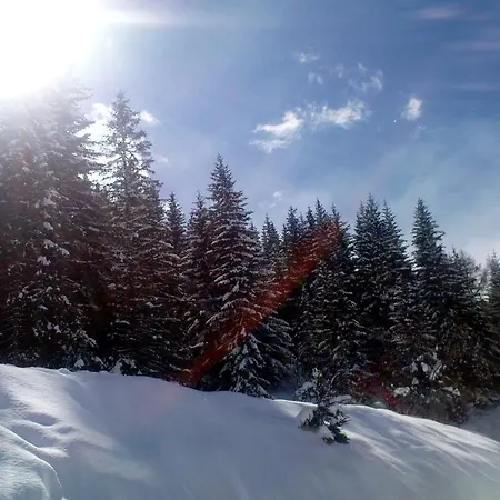Alpenhaeuser Marcius 4* Sonnenalpe Nassfeld