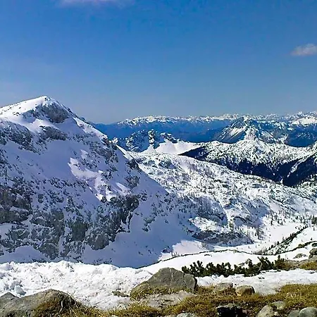Aparthotel Alpenhaeuser Marcius