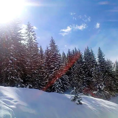 Aparthotel Alpenhaeuser Marcius Sonnenalpe Nassfeld