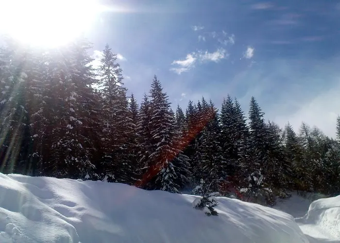 Alpenhaeuser Marcius 3* 조넨알페 나스펠트